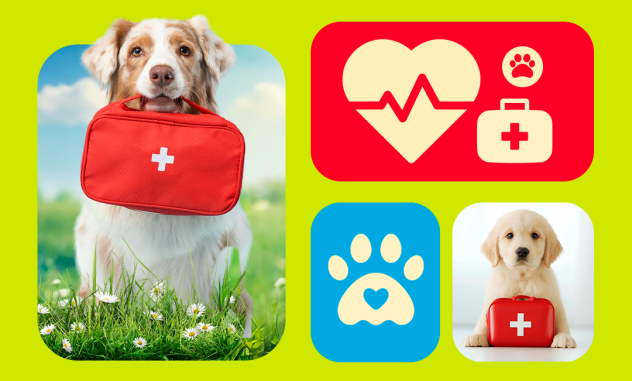 Primeros auxilios para perros