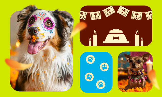 dia de las mascotas fallecidas